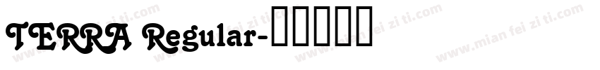 TERRA Regular字体转换